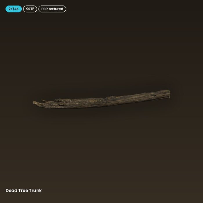 Dead Tree Trunk