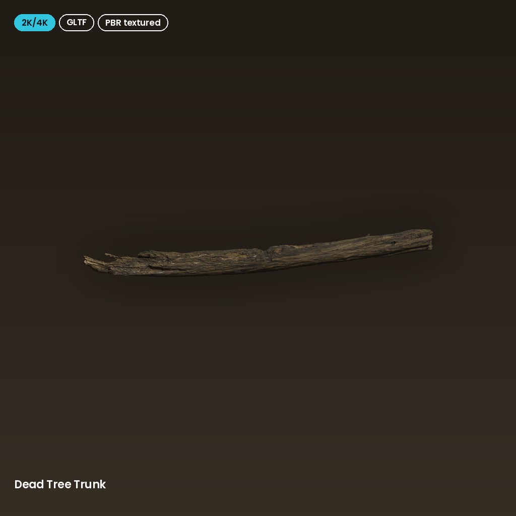 Dead Tree Trunk