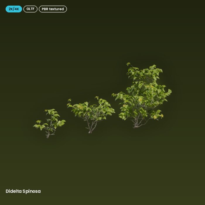 Didelta Spinosa