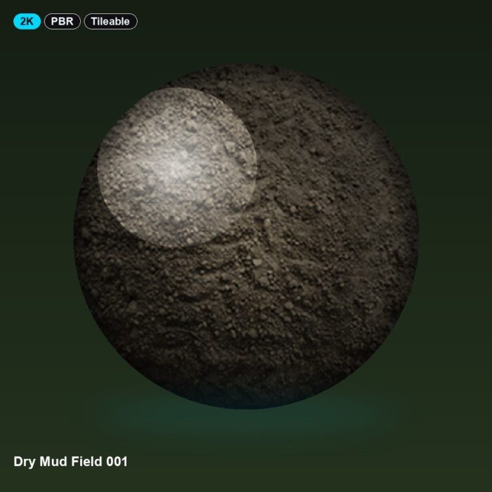Dry Mud Field 001