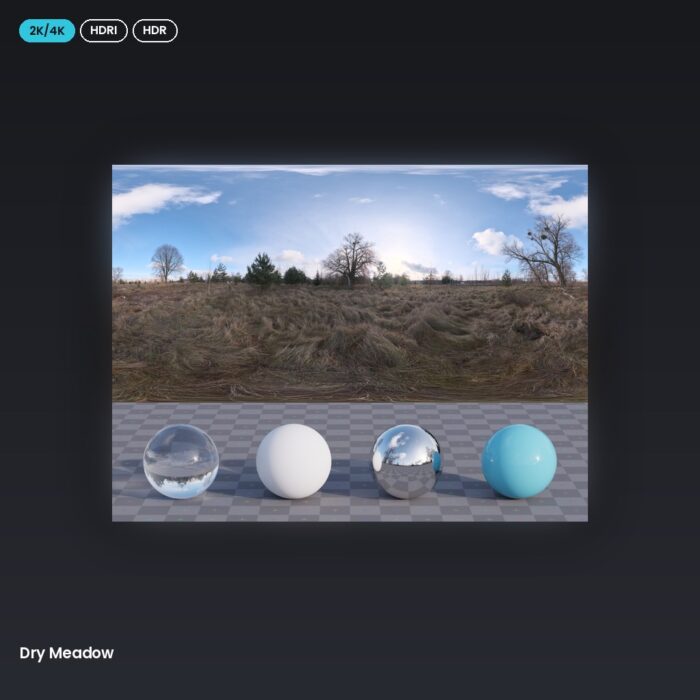 Dry Meadow
