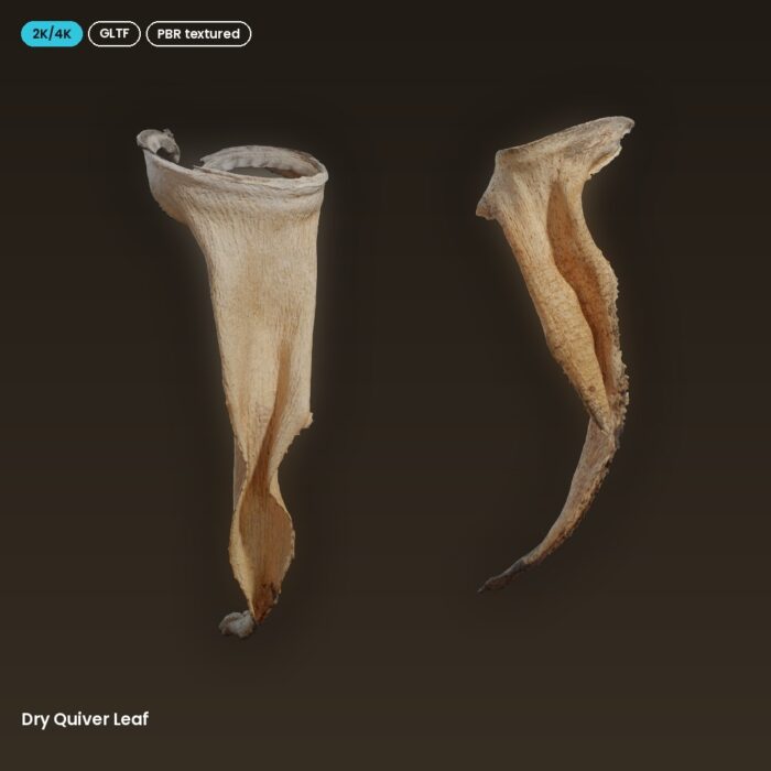 Dry Quiver Leaf