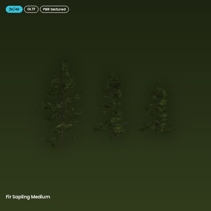 Fir Sapling Medium