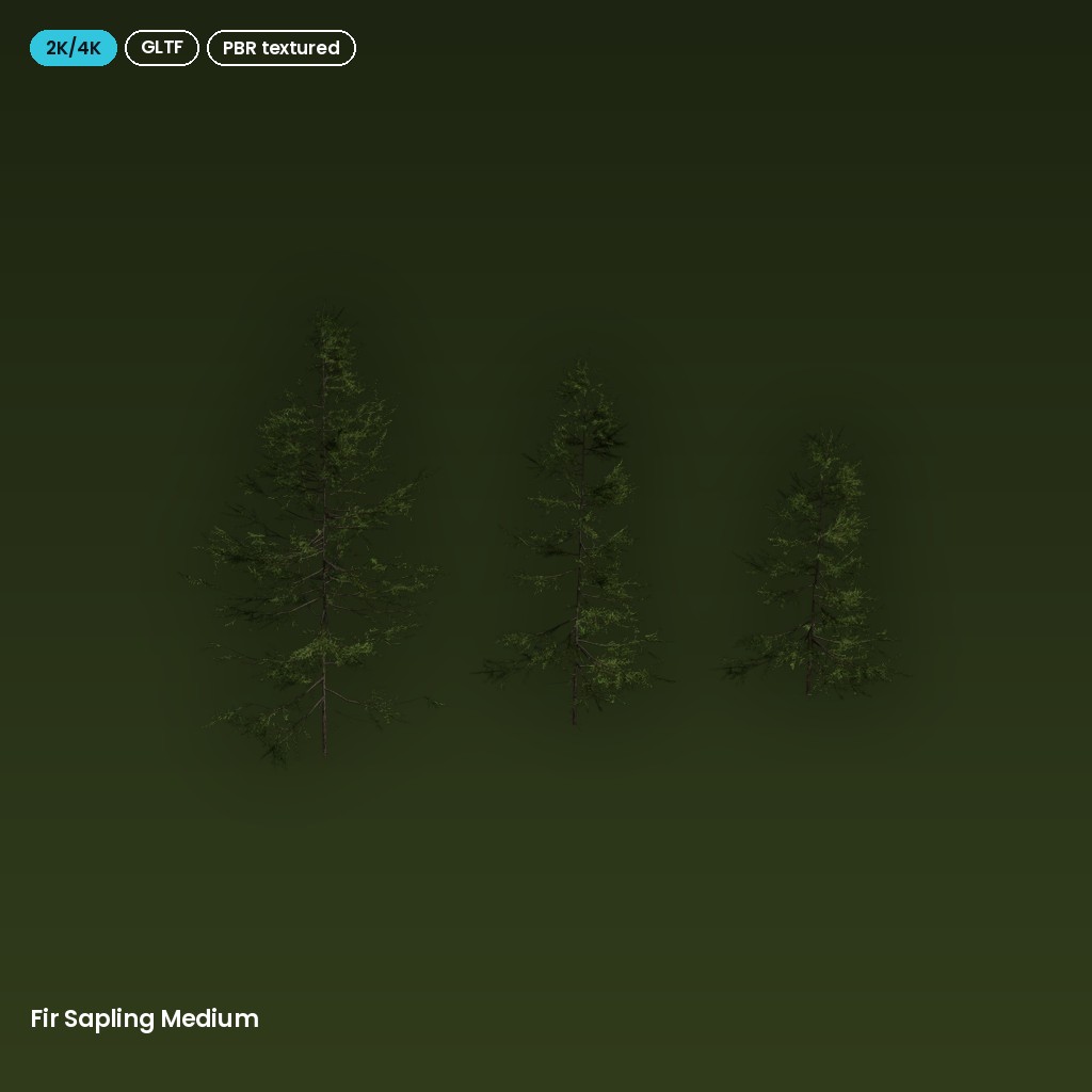 Fir Sapling Medium