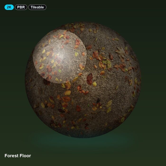 Forest Floor