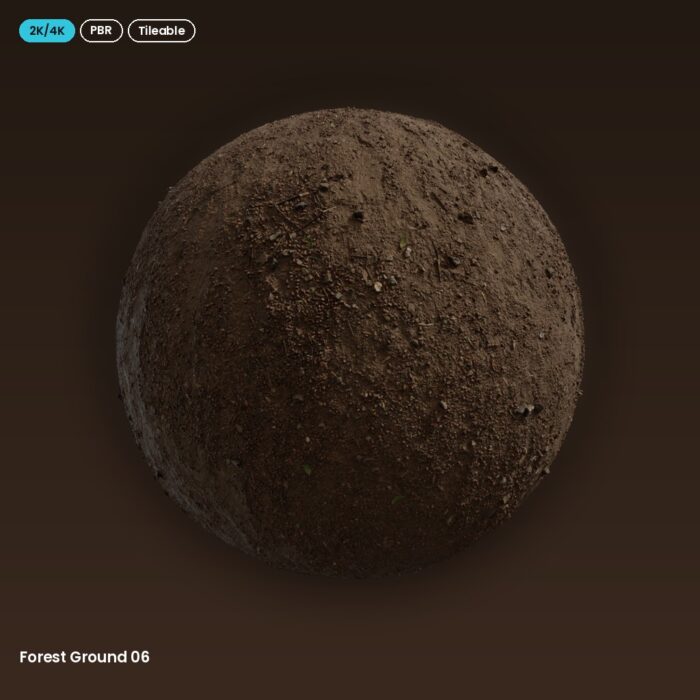 Forest Ground 06