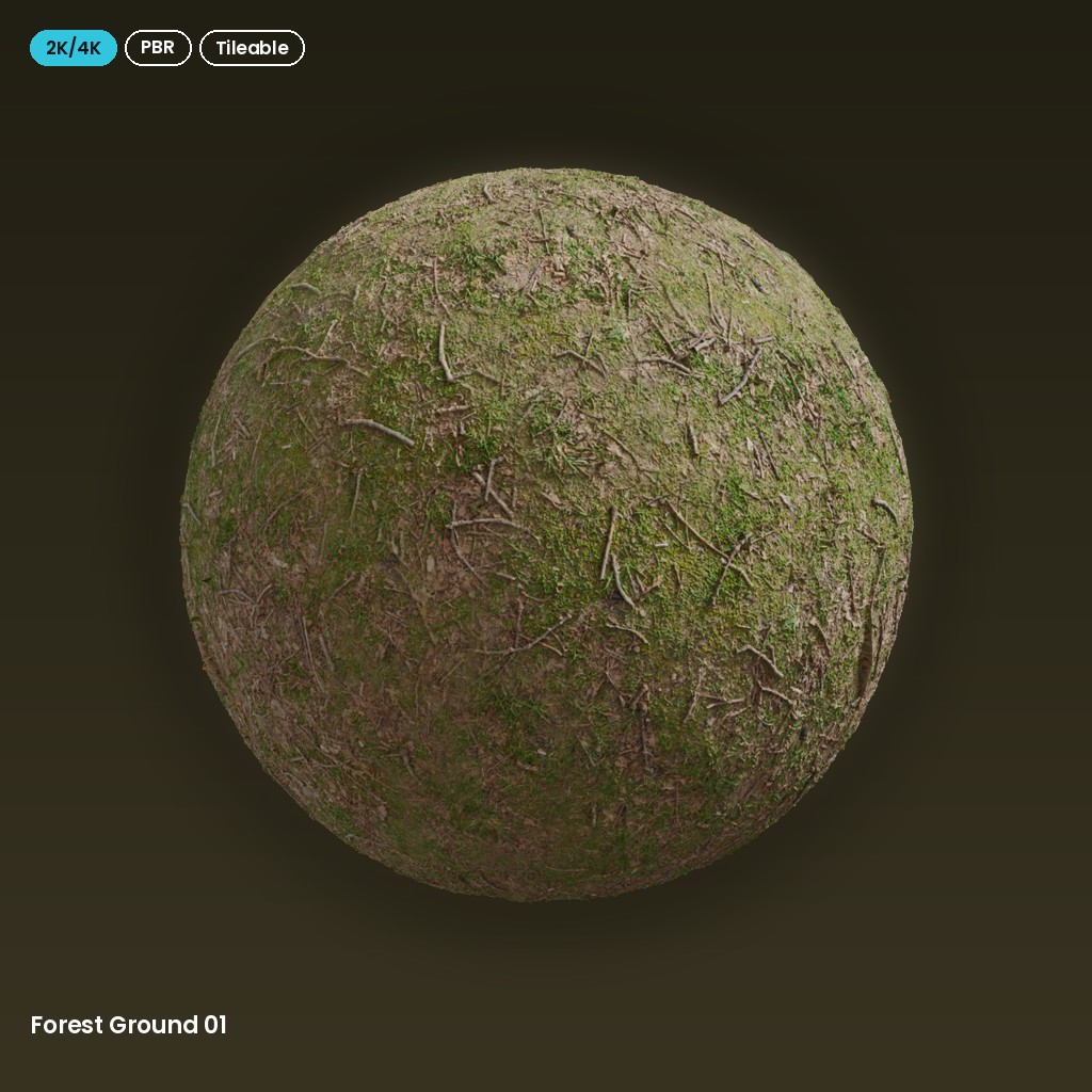 Forest Ground 01