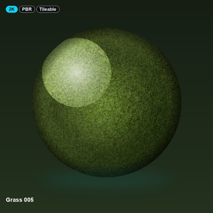 Grass 005
