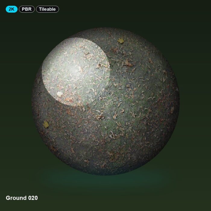 Ground 020