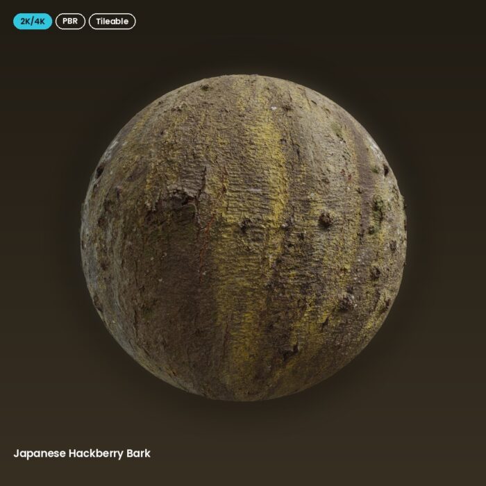 Japanese Hackberry Bark