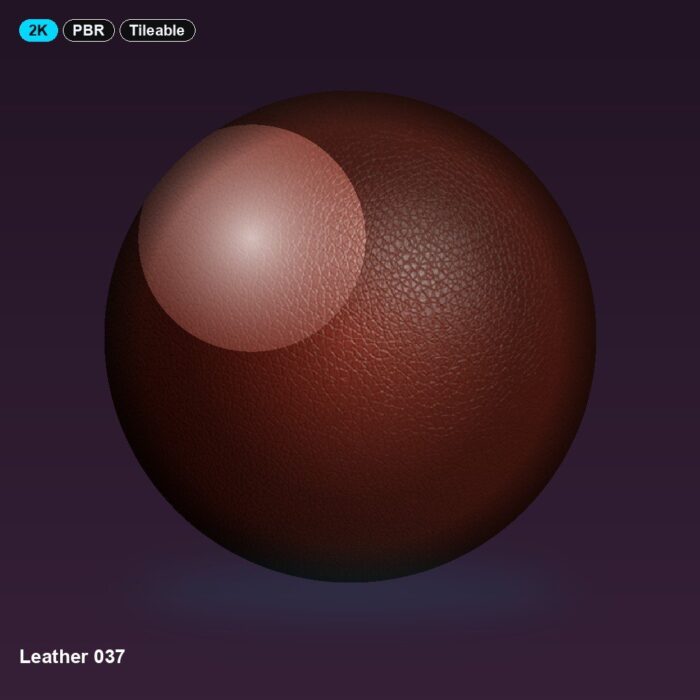 Leather 037