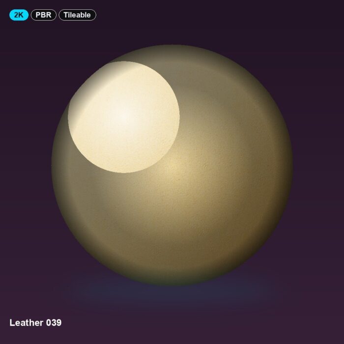 Leather 039