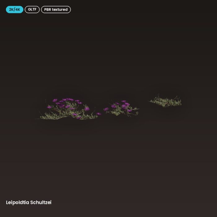 Leipoldtia Schultzei