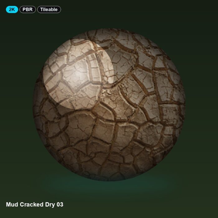 Mud Cracked Dry 03