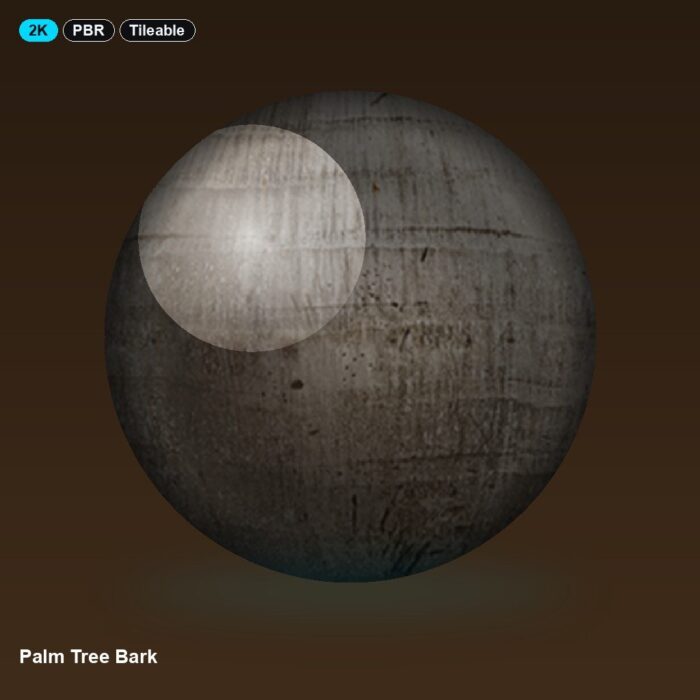 Palm Tree Bark