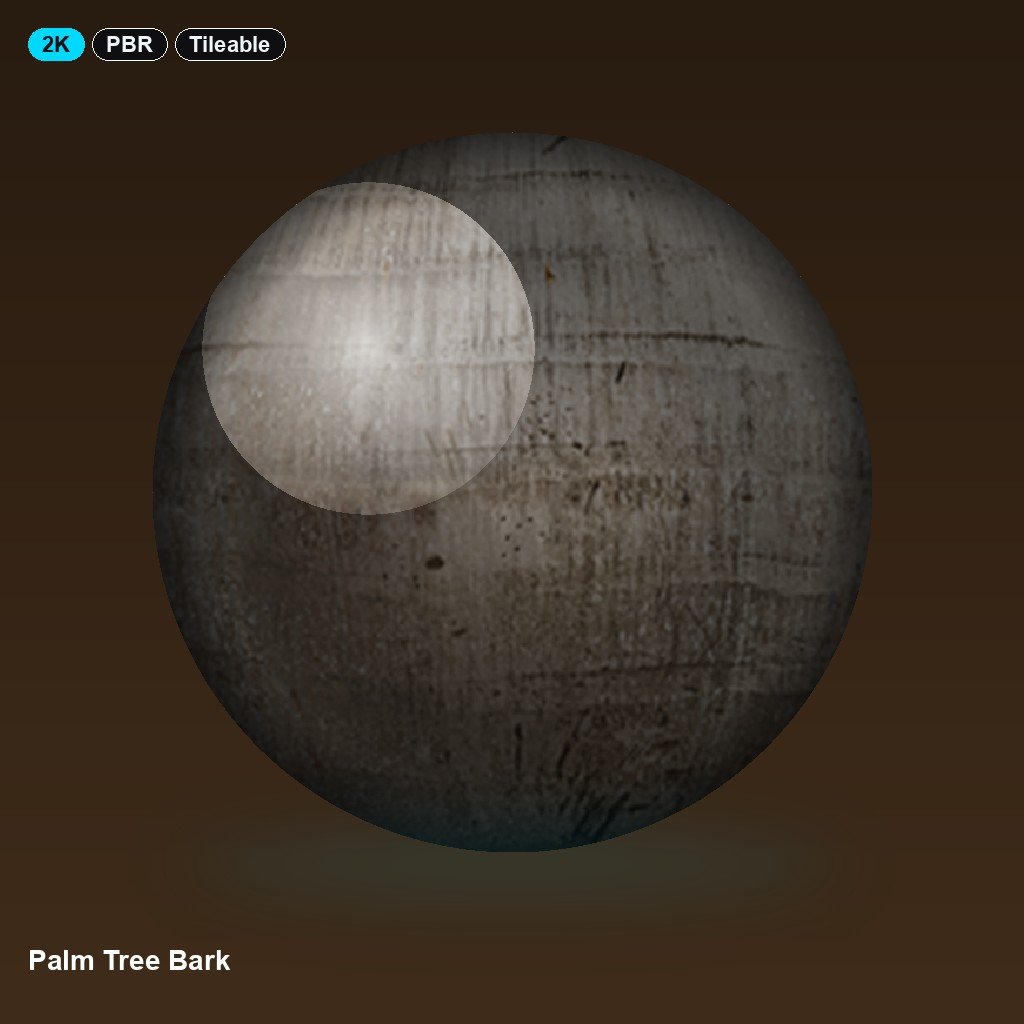 palm-tree-bark