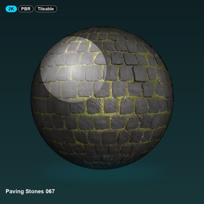 Paving Stones 067