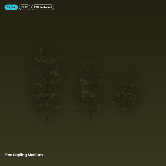 Pine Sapling Medium