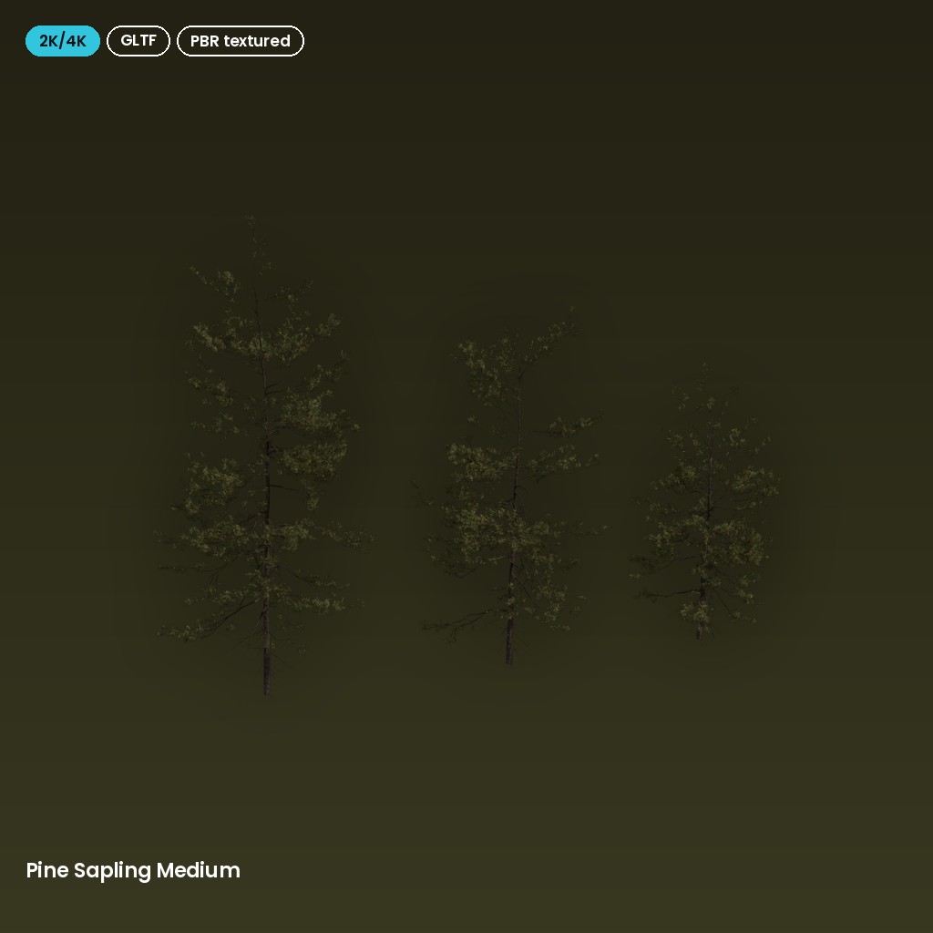 Pine Sapling Medium