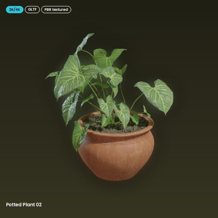 Potted Plant 02