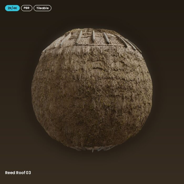 Reed Roof 03