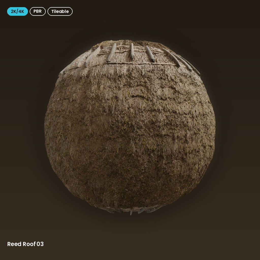Reed Roof 03