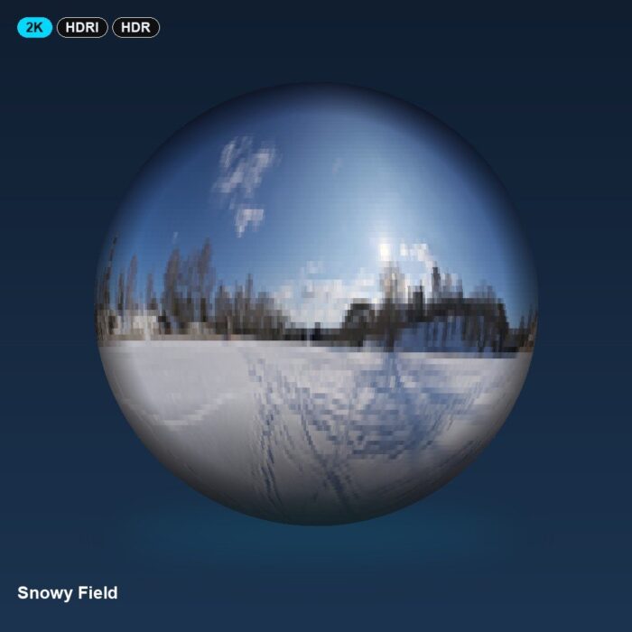 Snowy Field