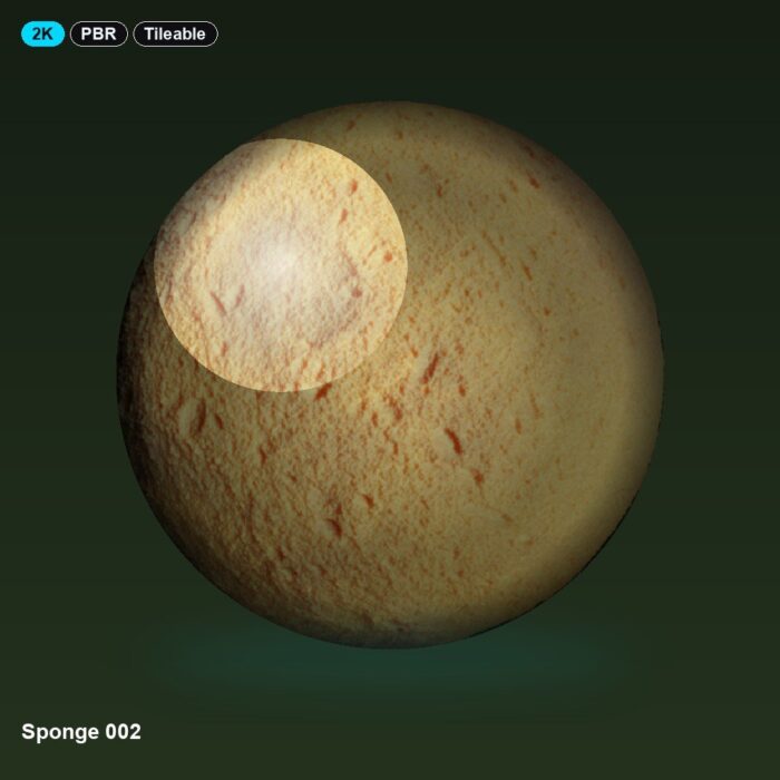 Sponge 002
