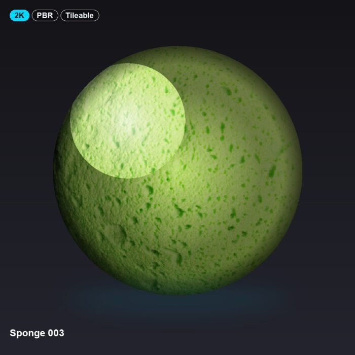 Sponge 003