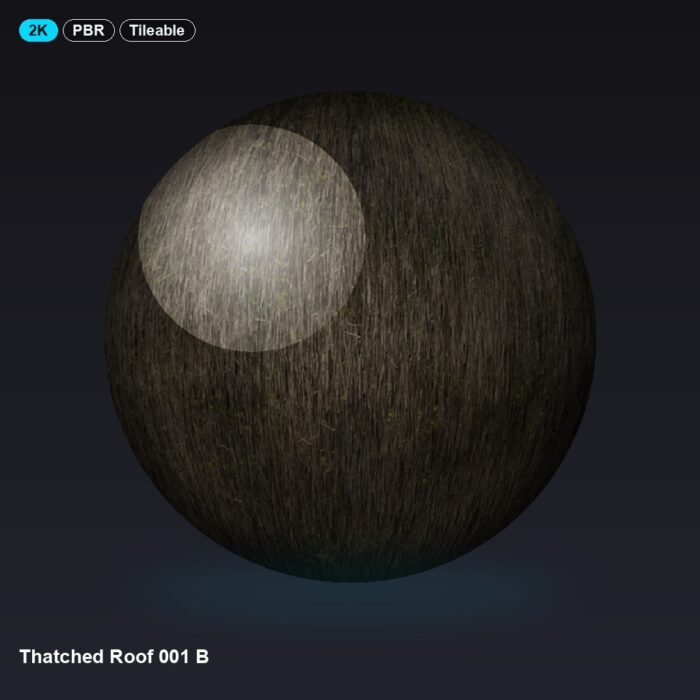 Thatched Roof 001 B