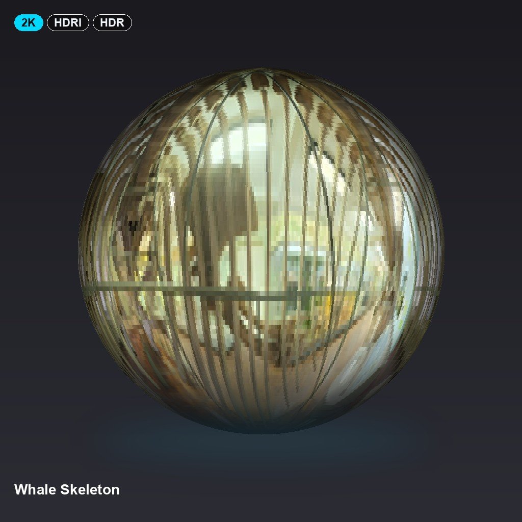 whale-skeleton
